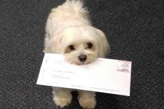 Pula helping with the mail