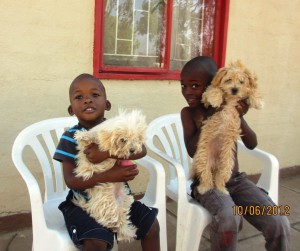 A puppy for each of them.  Shuby comes over every day and tells he that he knows Phoenix loves him!