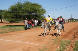 Donkeys don't race so well.  The "jockey" seem to always get pushed off.  The donkeys often went off the main road and followed each other in herd fashion.  It was fun to watch