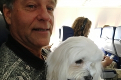 Pula on the plane 2017