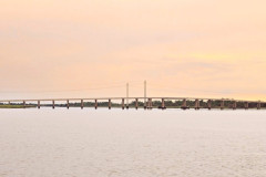 SavannahCR-18