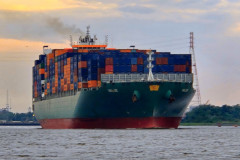 SavannahCR-25