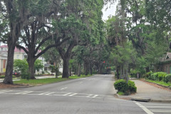 SavannahCR-7